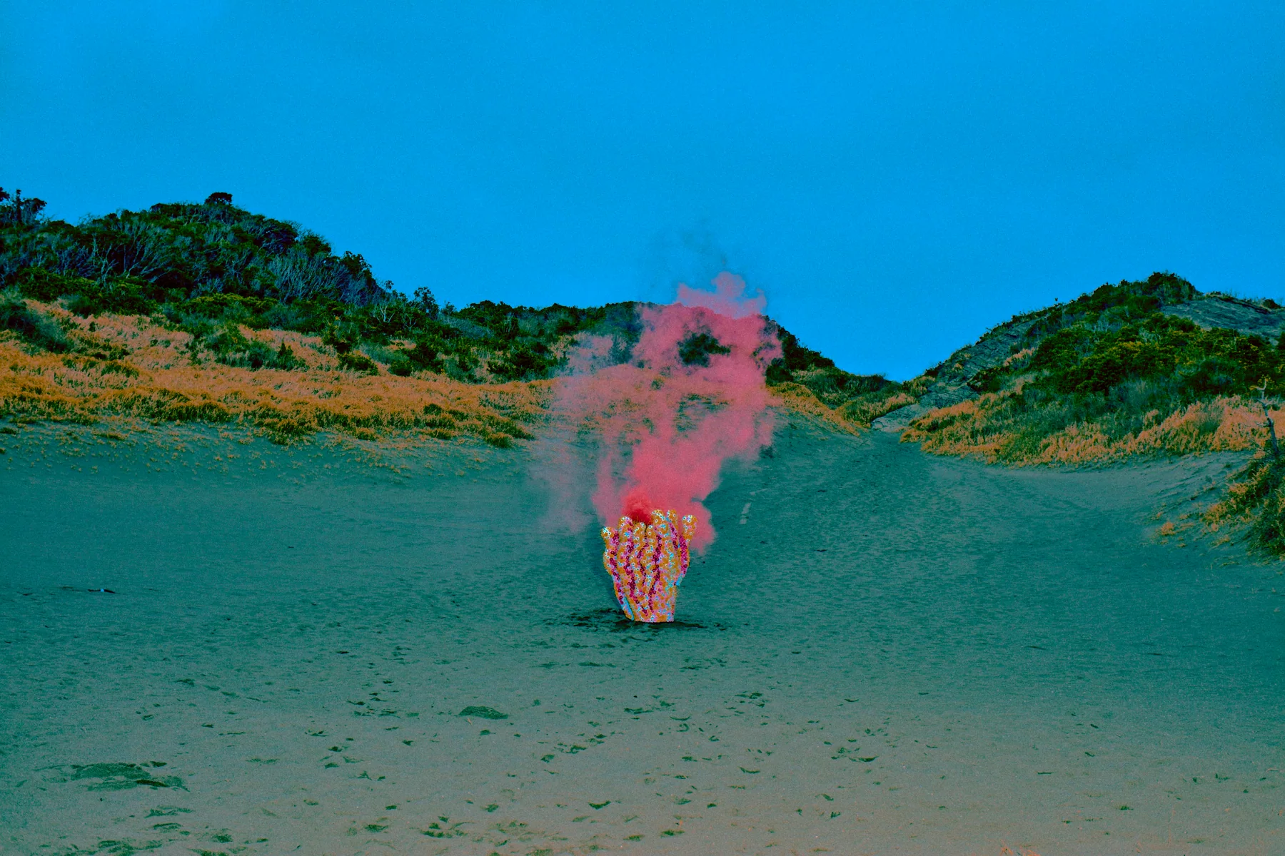 Where Flowers Become Form – with Floral Artist Genki Tanaka image 1