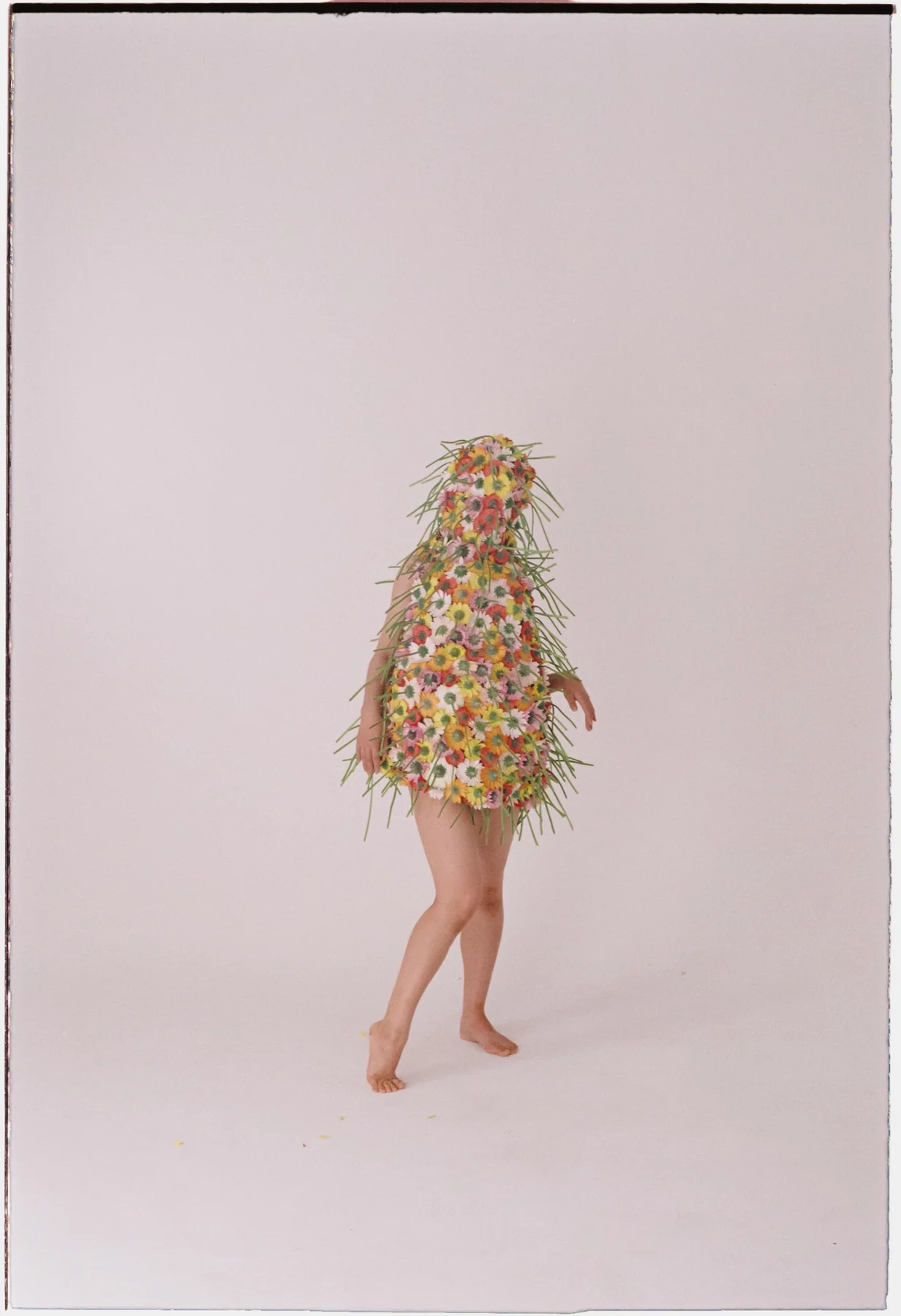 Where Flowers Become Form – with Floral Artist Genki Tanaka image 1