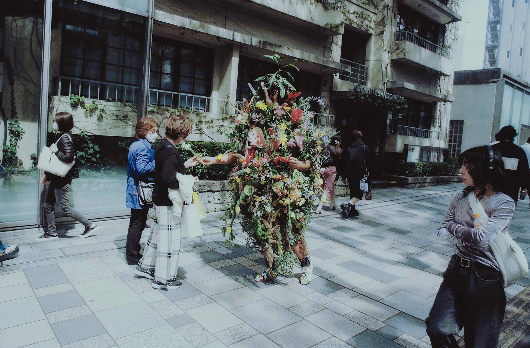 Where Flowers Become Form – with Floral Artist Genki Tanaka image 1