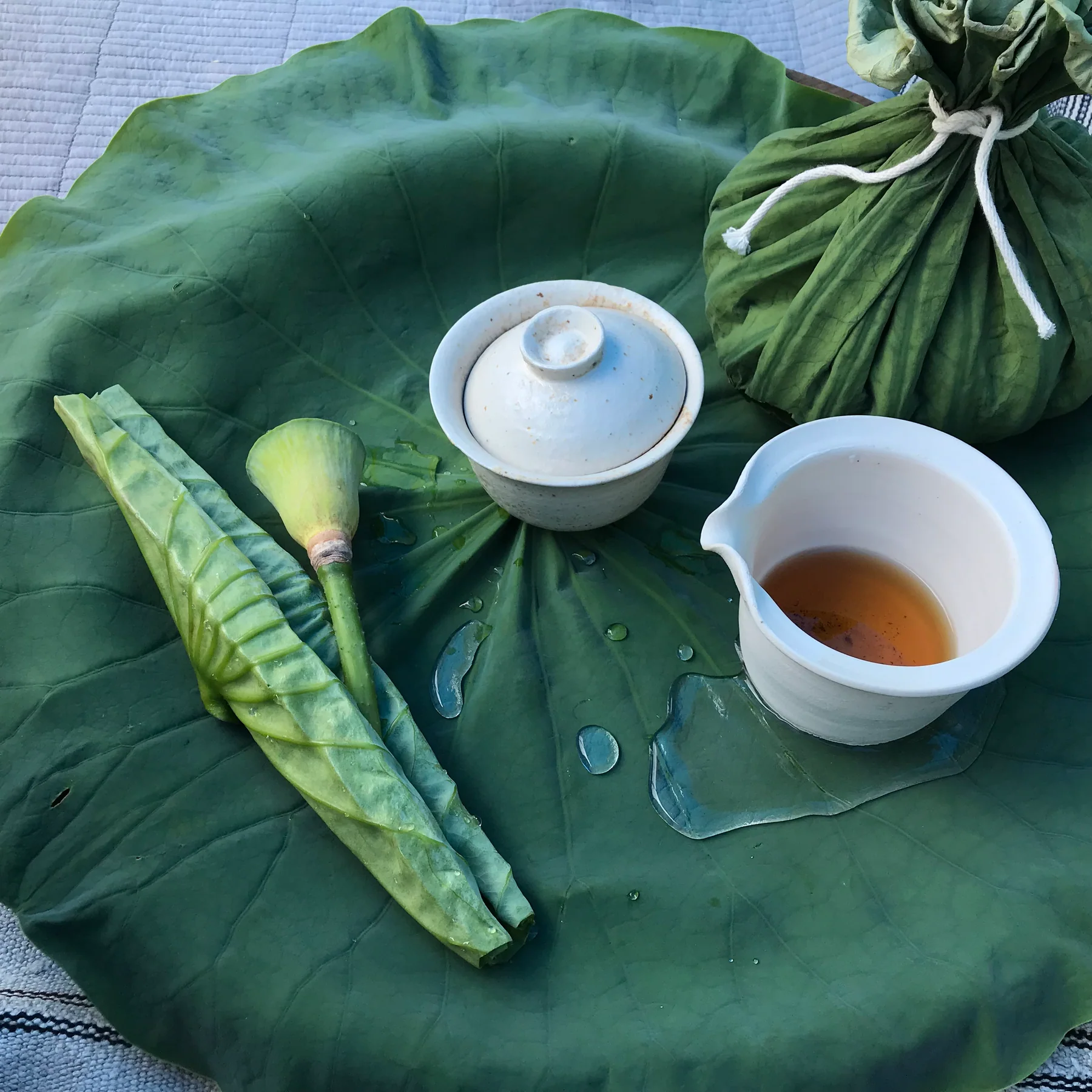 The Shape of Tea – In Conversation with Takashi Ichikawa image 1